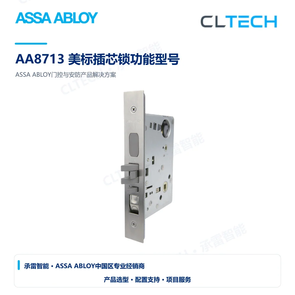 ASSA ABLOY AA8713 美标插芯锁功能型号产品图