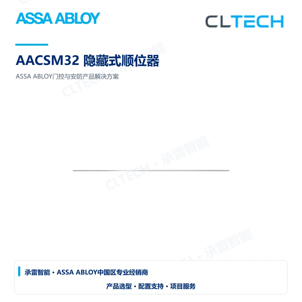 ASSA ABLOY AACSM32 隐藏式顺位器产品图