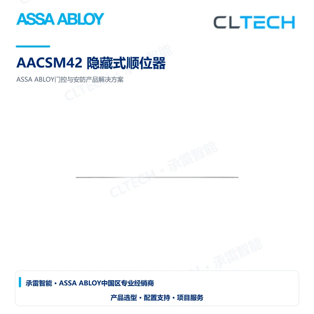 ASSA ABLOY AACSM42 隐藏式顺位器产品图