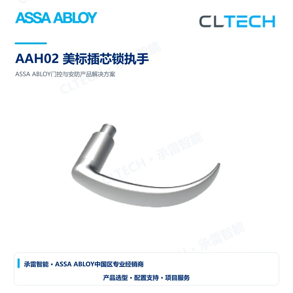 ASSA ABLOY AAH02 美标插芯锁执手产品图