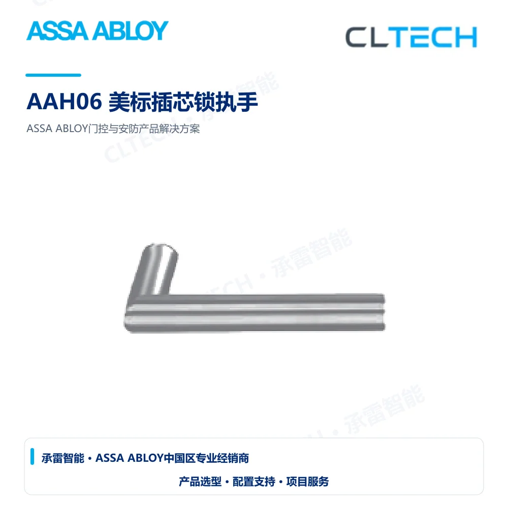 ASSA ABLOY AAH06 美标插芯锁执手产品图