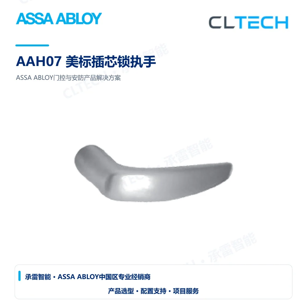 ASSA ABLOY AAH07 美标插芯锁执手产品图