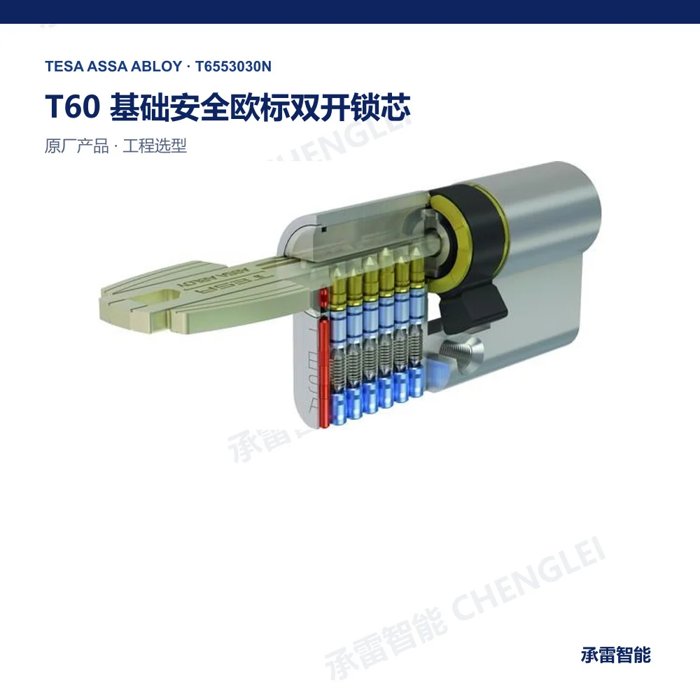 TESA T60 机械锁芯与钥匙系统产品图