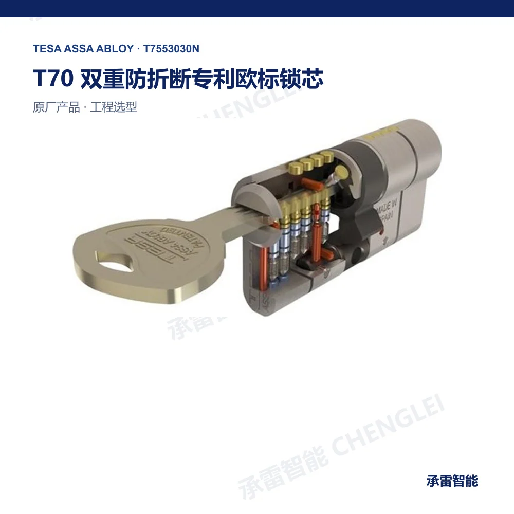 TESA T70 机械锁芯与钥匙系统产品图
