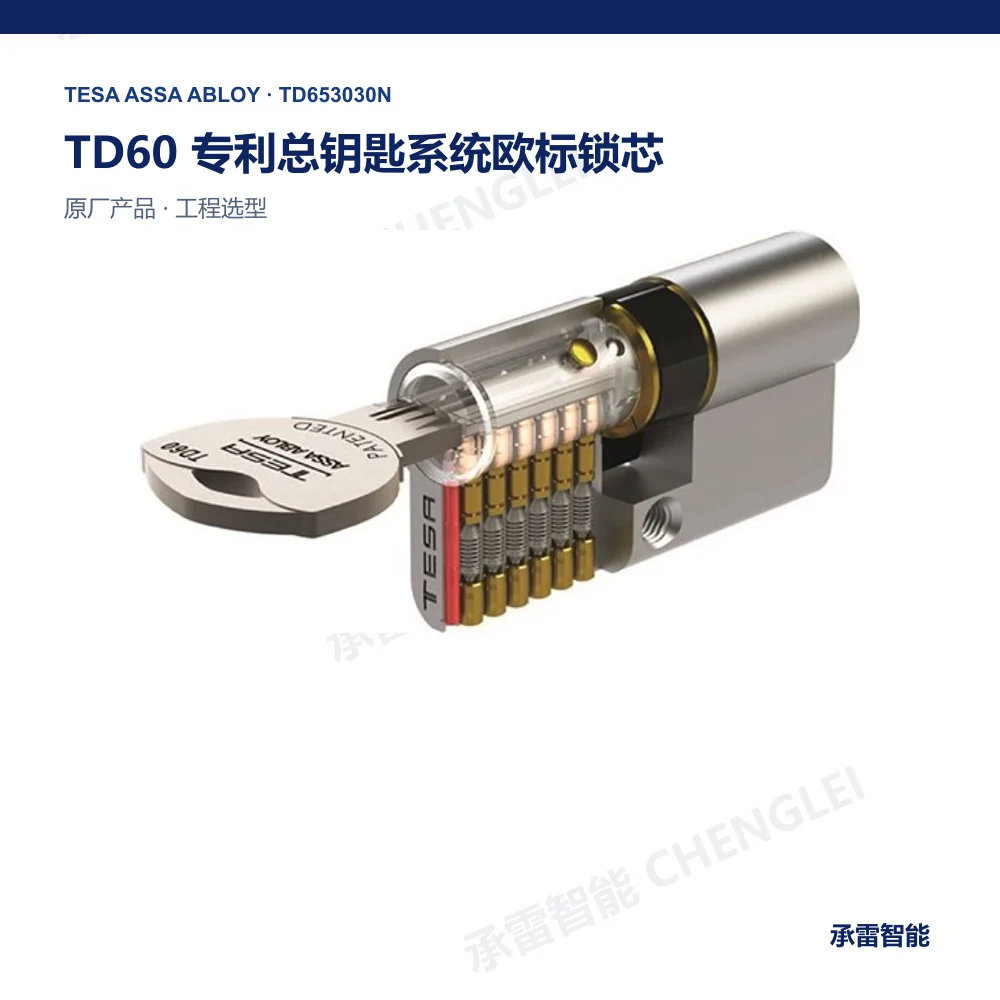 TESA TD60 机械锁芯与钥匙系统产品图