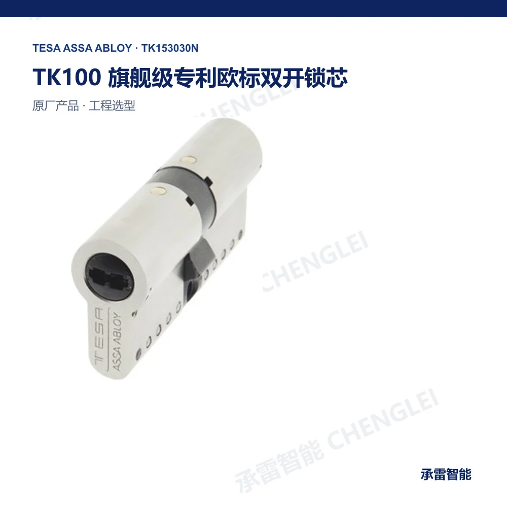 TESA TK100 机械锁芯与钥匙系统产品图