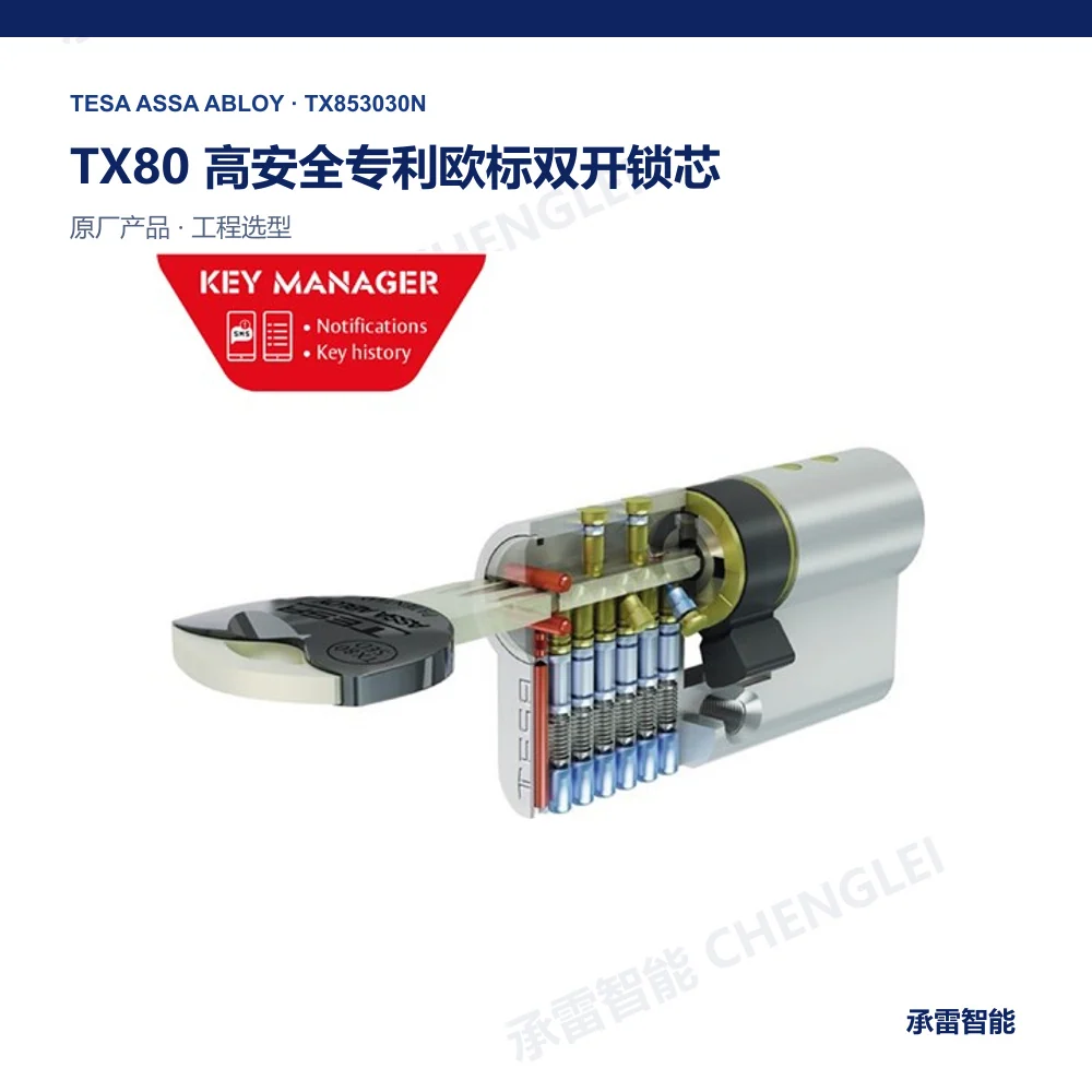 TESA TX80 机械锁芯与钥匙系统产品图